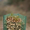 따뜻한 산들바람 이미지