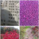 세주농장 이미지