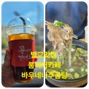 붐비어 이미지