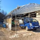 한우축사 이미지