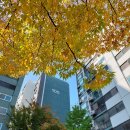 상계벽산아파트 앞 버스정류장 이미지