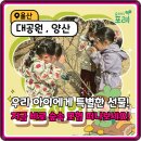 양금동 평생학습교실 | 실내 활동 지겨운 아이들! 울산 숲체험 자연 학습 프로그램 만족도 높은 후기