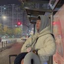 [12월 재능나눔] 팽이버섯차 제다법 | 중국 상해여행 1일차 | 중국남방항공 후기 상해 현지인 맛집 하프어드링크 half a drink 추천 메뉴