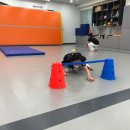 율현태권도장 이미지