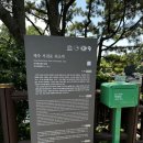 정방폭포 주차장 | [제주도 가볼만한 곳 ] 쇠소깍,정방폭포 방문한 후기