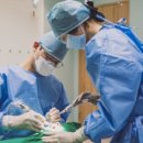 나은미소치과의원 이미지