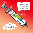 텔레스코프 이미지