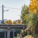 용답꽃공원 이미지