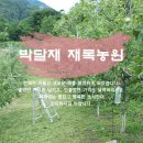 박달재농원 이미지