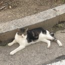 6월 다섯째주 일기ㅣ피부를 잃고 디올 백을 얻었습니다