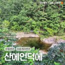 소금강행복펜션 | 강릉 연곡 소금강 계곡도 감성숙소도 바베큐도 최고였던, 강원도계곡펜션 산에언덕에