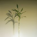 희망의 의자 이미지