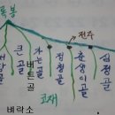 합수목의 봄 Daum카페