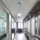 도련초등학교 이미지