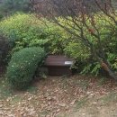 길냥이와 함께하는 이미지