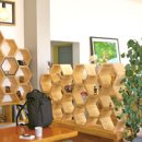 애플아일랜드 이미지