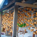 동천농장 이미지