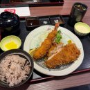벨로시티 | 말레이시아 돈까스 맛집 추천, Donkatsu by Ma Maison 선웨이 벨로시티점 내돈내산 후기