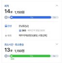 신라스테이제주 | 제주공항 근처 호텔 신라스테이 제주 숙박후기 공항 대중교통 이동