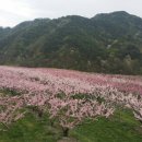 안타까움. 이미지