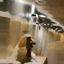 퍼피프린스 이미지