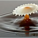 커피사랑FF