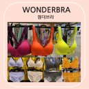 원더브라엔씨 네이버블로그
