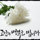 의료법인한성재단 동아메디병원