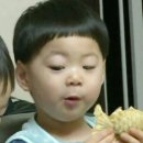 세상에모든케이스 이미지