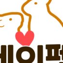 에이펫 이미지