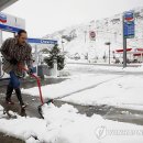 디에스주유소 이미지