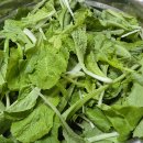 오갑농장 이미지