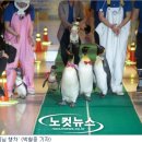 씨월드수족관