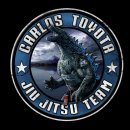 TEAM SF 총본관 이미지