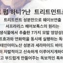 끌레헤어 이미지