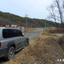 야산1 Daum카페