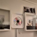 고립낙원 이미지