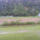 은혜원(성혜원) 이미지