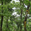 부전계곡(하) 이미지