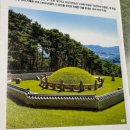 재미있는 한국사 문화산책 | 서울 헌인릉 :: 가볍게 다녀오기 좋은 역사 산책(주차, 입장료 정보)