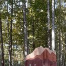 2025.11.1.영해 벌영리 메타세콰이아숲.해파랑길22코스(고래불~괴시리전통마을) 이미지