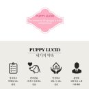 퍼피루시드 이미지