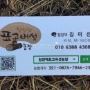 천공농장 이미지