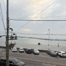 쭈꾸미퐁당빠진날 | 오이도 조개무한 총 5판(+a) 먹은 내돈내산 찐후기 [청춘조개 별관] 🐚🐙