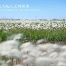 도원안마시술소 이미지