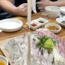 활구팔구