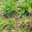 누리촌 | 상생누리촌 대표님 상품후기