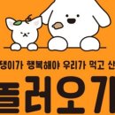 놀러오개 애견유치원 애견호텔 이미지