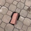 라븐 이미지