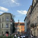 용연사 집단시설지구 | 크라쿠프에서 비둘기한테 귀싸대기 맞은 썰 푼다